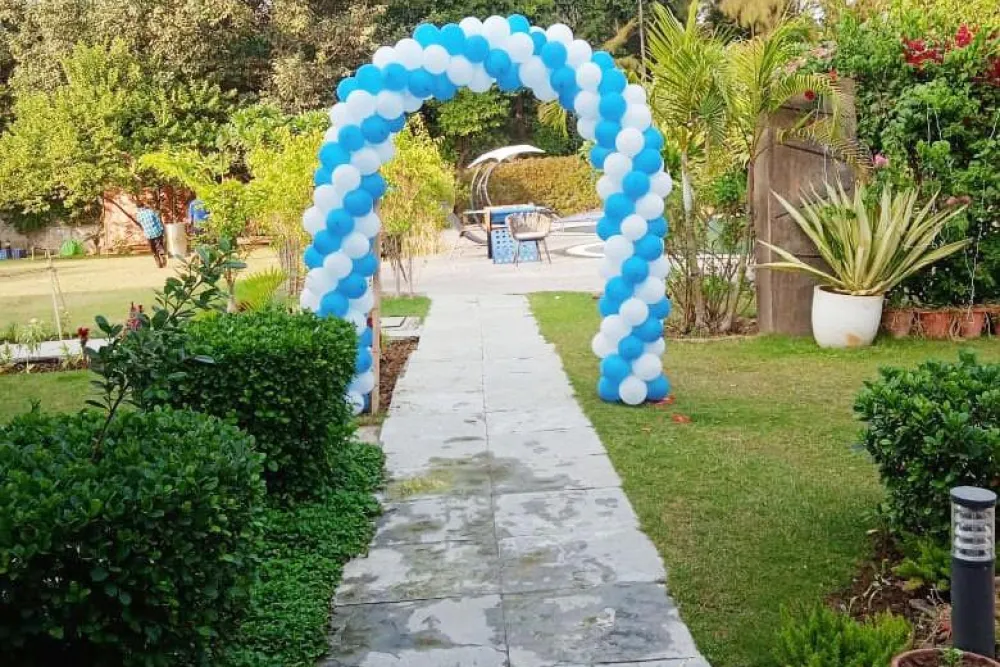 Balloon Entrance with Arch